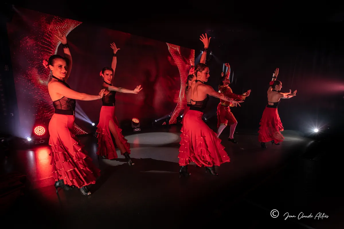 Ligne de danseuses en jupes rouges à volants et hauts noirs, les bras dessinant des poses au-dessus de la scène.